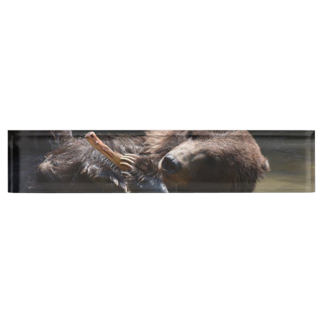Cute Playful Brown Bear Desk Name Plate (Front)
