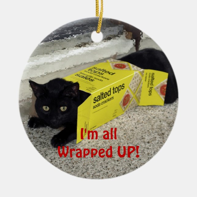 Cute Playful Cat Christmas Ornament (Front)