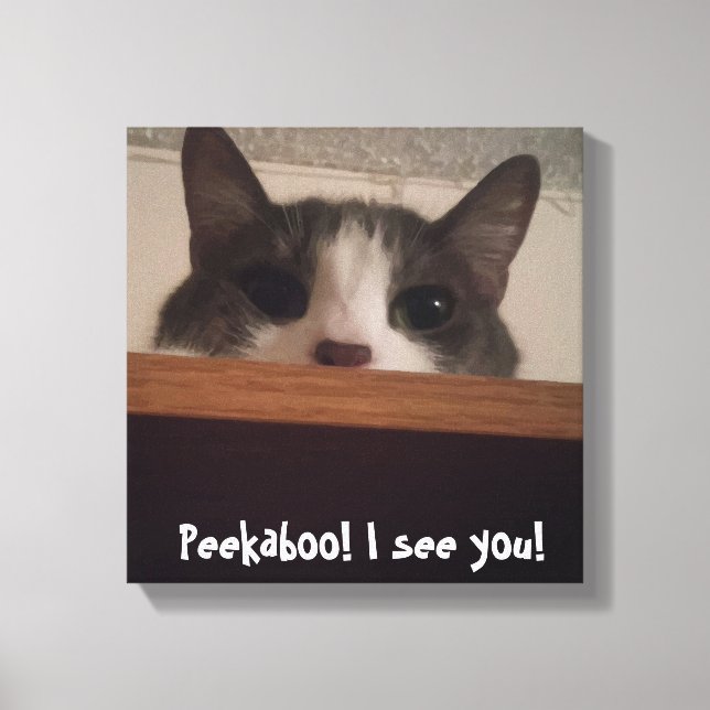 Cute Playful Kitty Cat Picture Wrapped Canvas Print (Front)