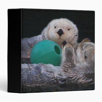 Cute Playful Sea Otters 3 Ring Binder by northwestphotos at Zazzle