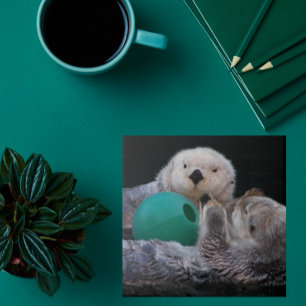 Cute Playful Sea Otters Ceramic Tile