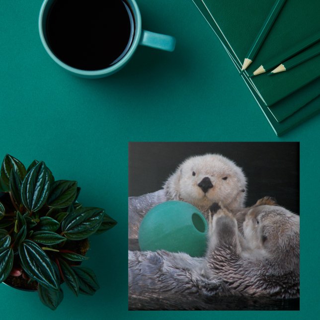 Cute Playful Sea Otters Ceramic Tile (In Situ)