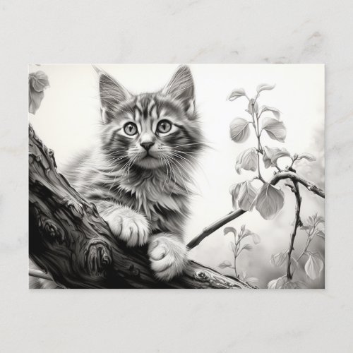 Cute playing kitten _ Black and White Drawing Art Postcard