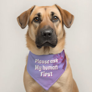 Cute Please Ask My Human First Pet Bandana Collar