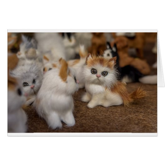 Cute Plushy Kittens (Front Horizontal)