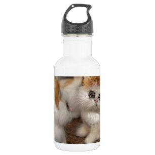 Cute Plushy Kittens Stainless Steel Water Bottle