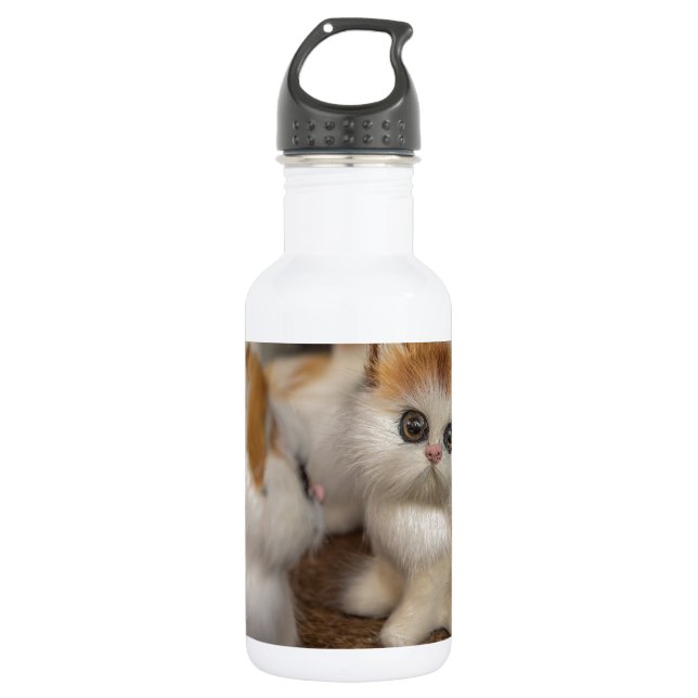 Cute Plushy Kittens Stainless Steel Water Bottle (Front)