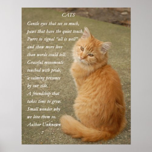 Cute Poem Orange Kitten Cat Poster