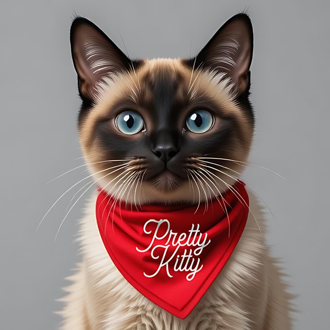 Cute Poetic Pretty Kitty Pet Bandana Collar (Siamese Cat Modeling Pretty Kitty Bandana Cover Photo (close cropped))