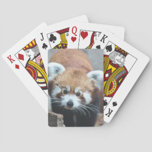 Cute Poker Cards