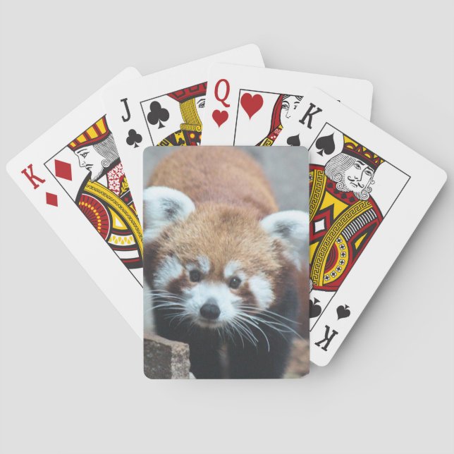 Cute Poker Cards (Back)