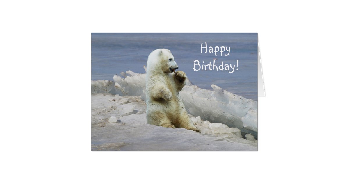 Free Printable Polar Bear Birthday Card