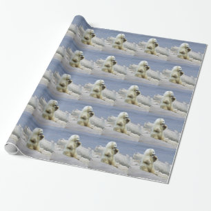 Cute Polar Bear Cub & Arctic Ice Wrapping Paper