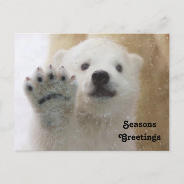 Cute Polar Bear Cub Waving Holiday Postcard (Front)