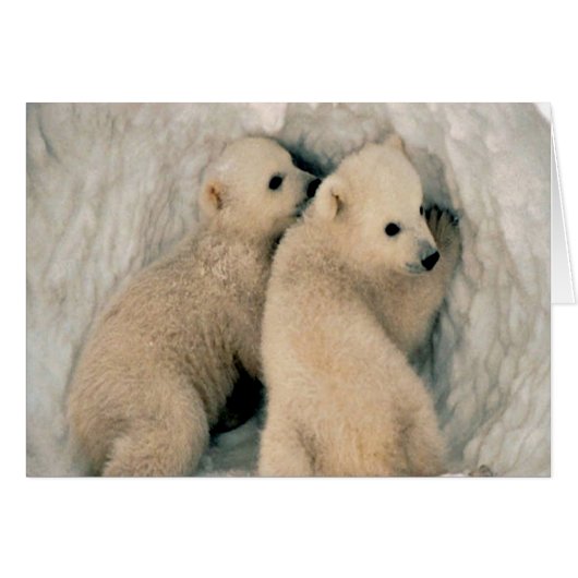 Cute Polar bears Cards (Front Horizontal)
