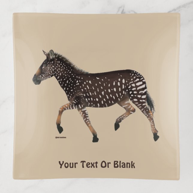 Cute Polka Dot Zebra Trinket Tray (Front)