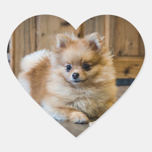 Cute Pomeranian Chihuahua Cross Dog Pet Animal Heart Sticker