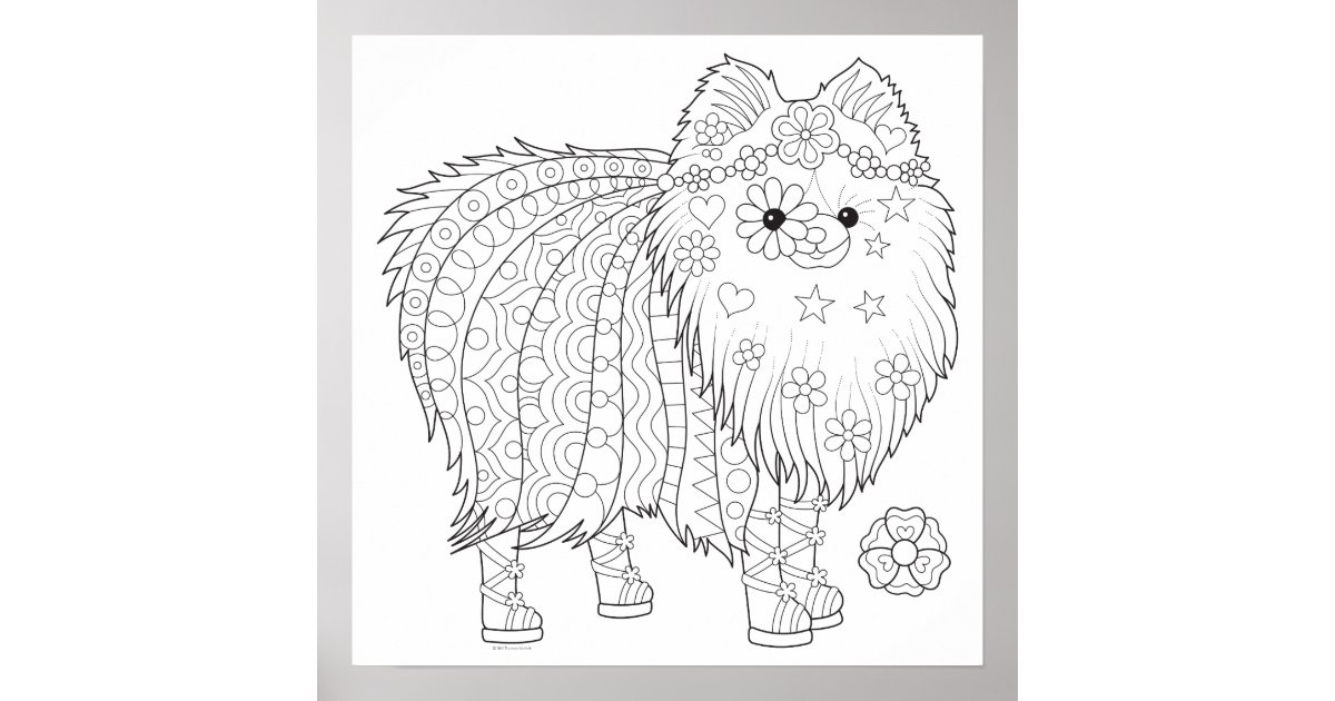 Cute Pomeranian Coloring Poster Colorable Poster Zazzle