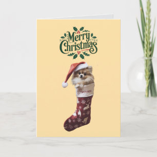 Cute Pomeranian Dog Christmas Card