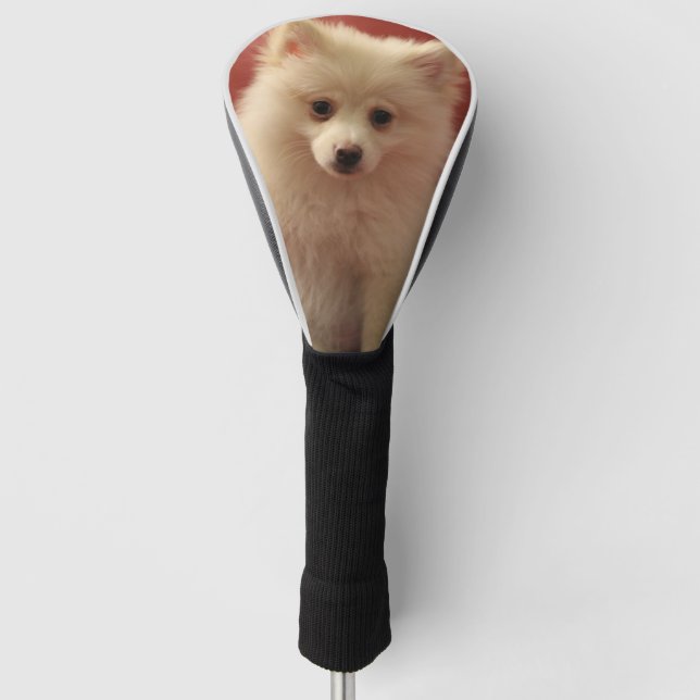 Cute Pomeranian Dog Golf Head Cover (Front)