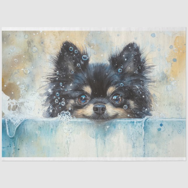 Cute Pomeranian Dog in the Bathtub Decoupage Tissue Paper (Front)