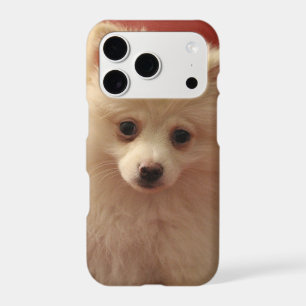 Cute Pomeranian Dog iPhone 17 Pro Case