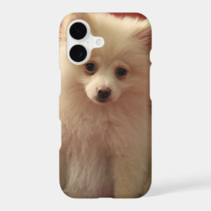Cute Pomeranian Dog iPhone 17 Case