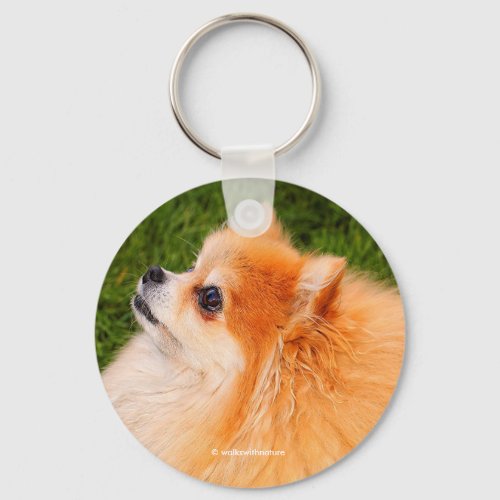 Cute Pomeranian Dog Queen of the Lawn Keychain