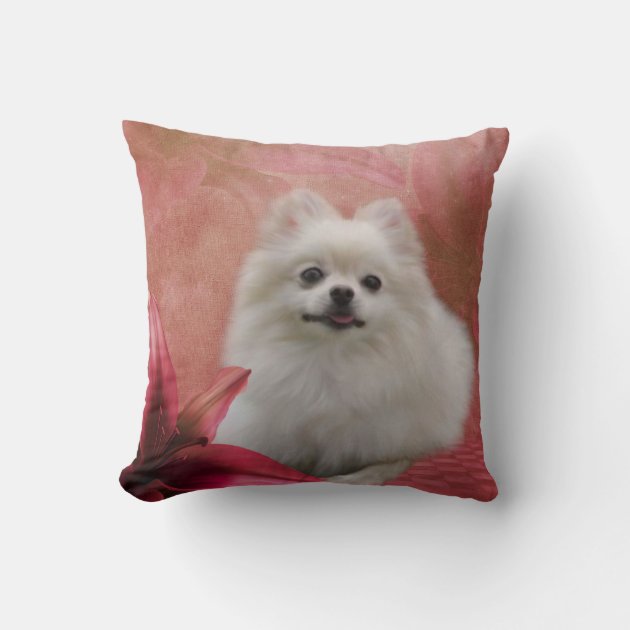 Pomeranian Pillow 16x16 Polyester 