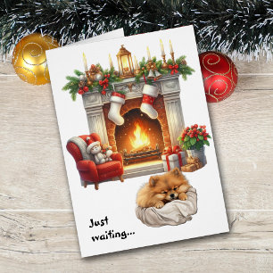 Cute Pomeranian Dog Waiting for Christmas Cards