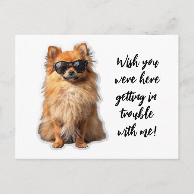 Cute Pomeranian Dog Wish You Were Here Missing You Postcard (Front)