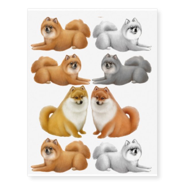 Cute Pomeranian Dogs Temporary Tattoo (Front)