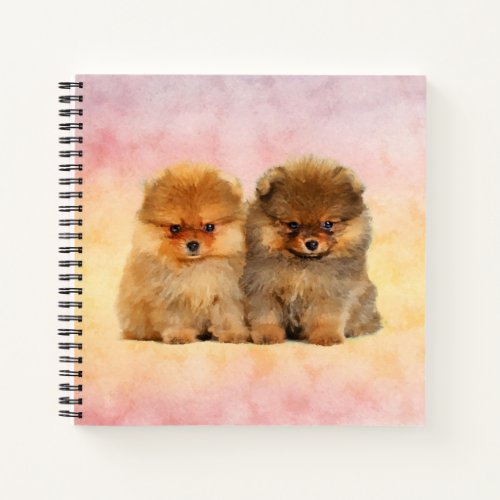 Cute Pomeranian German Spitz  Puppies Notebook