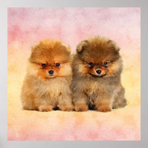 Cute Pomeranian German Spitz  Puppies Poster