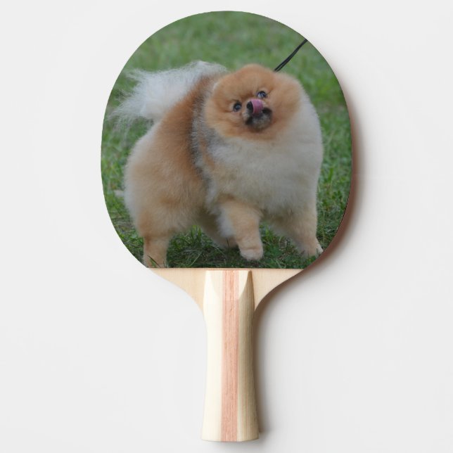Cute Pomeranian Ping-Pong Paddle (Front)