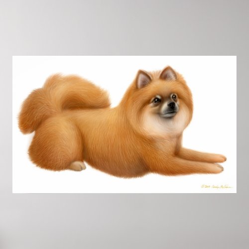 Cute Pomeranian Puppy Print