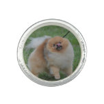 Cute Pomeranian Ring