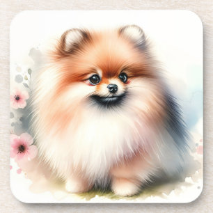 Cute Pomeranian Soft Watercolor Floral Dog Art Beverage Coaster