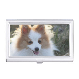 Cute Pomeranian Spitz Dog Portrait Photograph Business Card Case