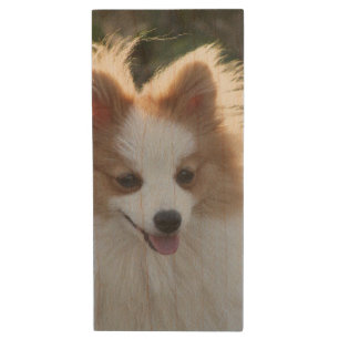 Cute Pomeranian Spitz Dog Portrait Photograph Wood Flash Drive