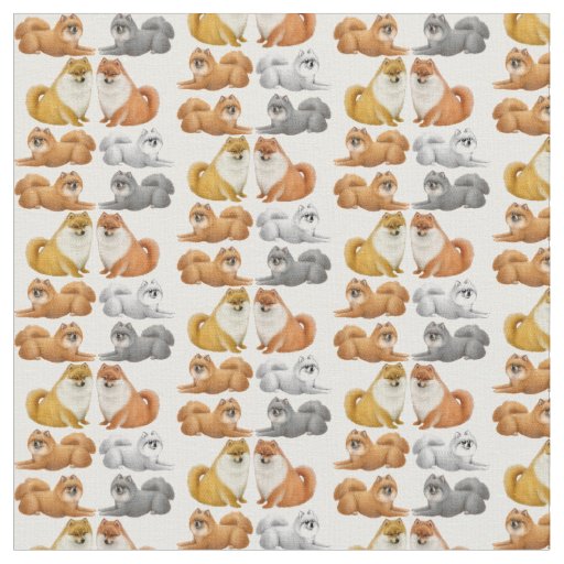 Cute Pomeranian Toy Dog Fabric