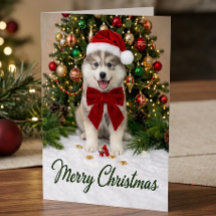 Cute Pomsky Puppy Dog Lover Santa Hat Christmas
