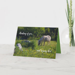 Cute pony, horse, nature green, thinking of you card