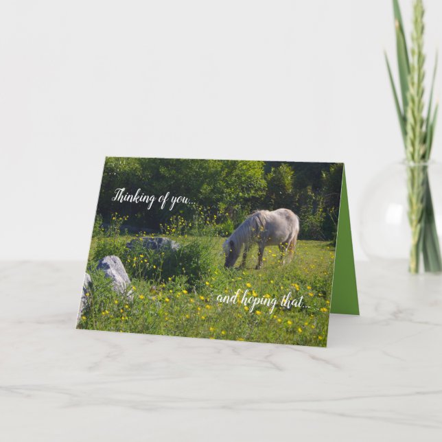 Cute pony, horse, nature green, thinking of you card (Front)