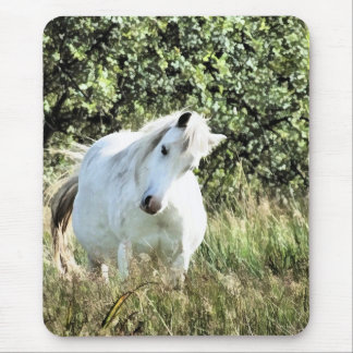 CUTE PONY MOUSE PAD