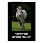 Cute pony photograph (Front)