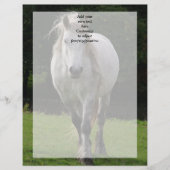 Cute pony photograph (Front)