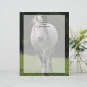 Cute pony photograph (Standing Front)