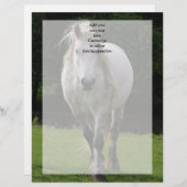 Cute pony photograph (Front/Back)