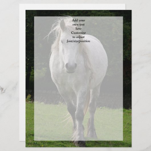 Cute pony photograph (Front/Back)